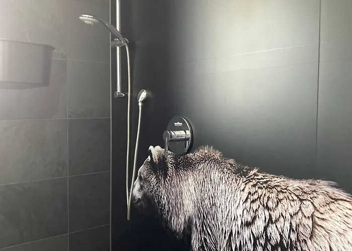 Appartement Whn82 En Engn *